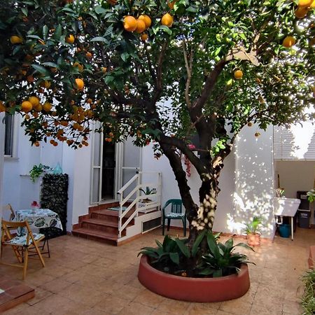Casa Sofia: Comodi E Tranquilli مارودجو المظهر الخارجي الصورة