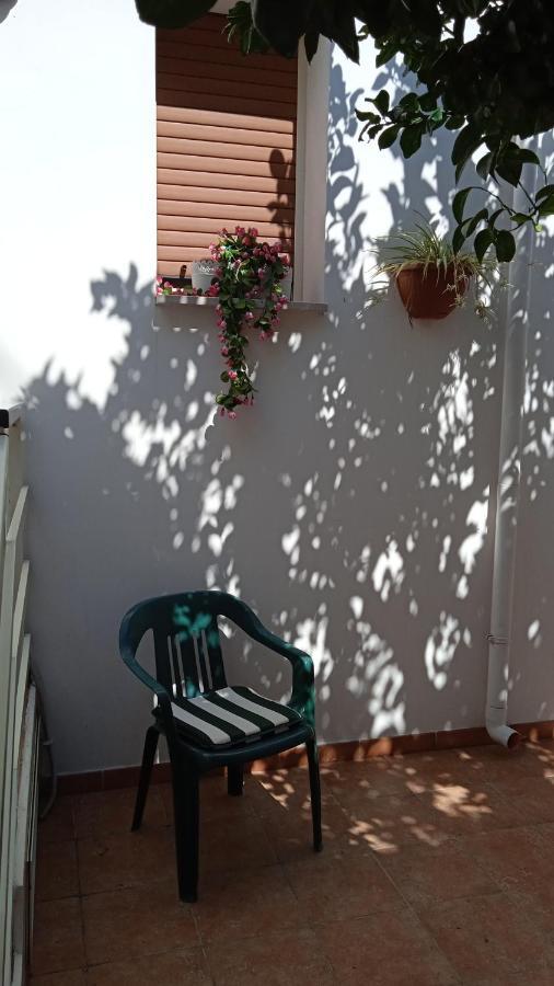 Casa Sofia: Comodi E Tranquilli مارودجو المظهر الخارجي الصورة