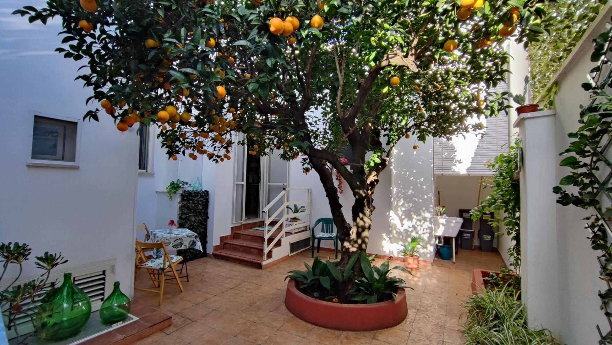 Casa Sofia: Comodi E Tranquilli مارودجو المظهر الخارجي الصورة
